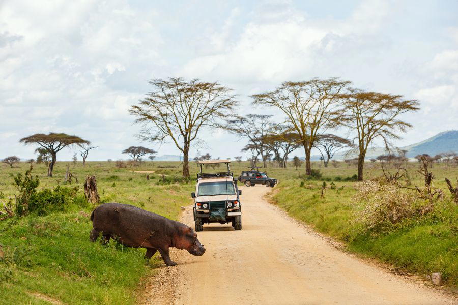 students on a safari game drive