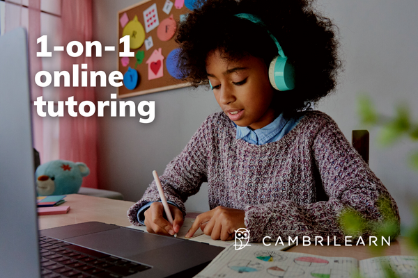CambriLearn - Image 4