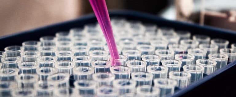 Medical Laboratory Technician