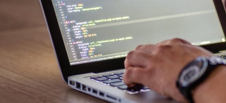 Software Developer