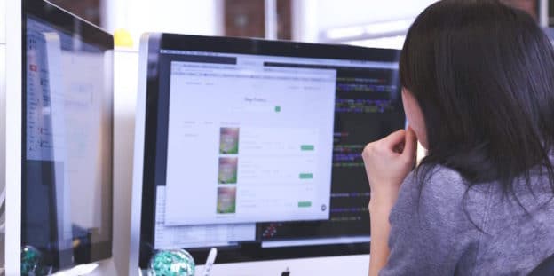 Web Developer