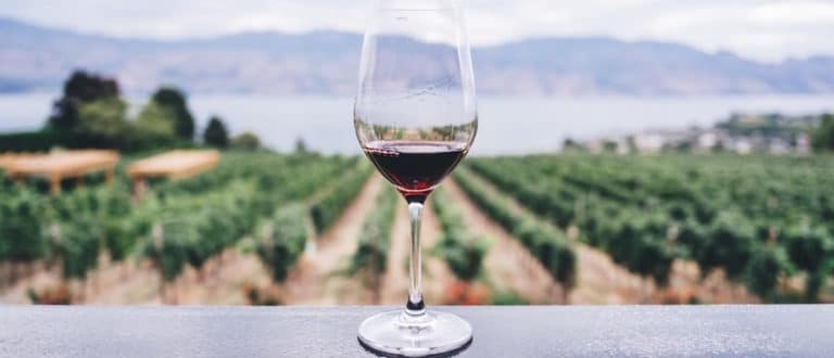 Wine Maker