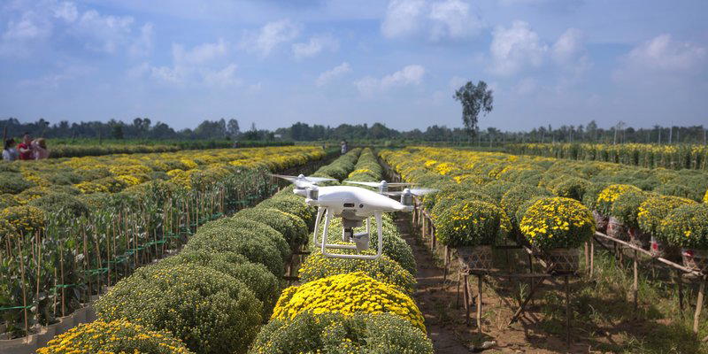 AgriSciences Careers