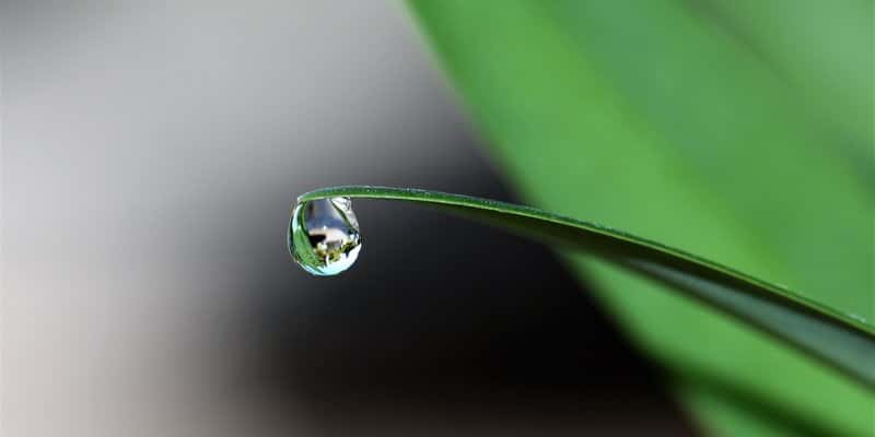 10 Easy Tips to Save Water