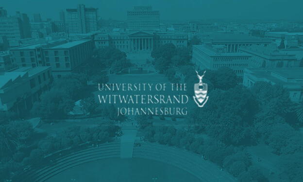 University of the Witwatersrand (WITS)